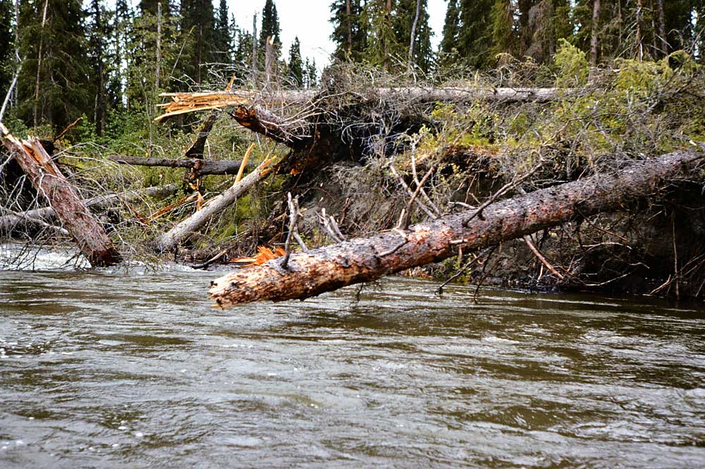 An Easter Baptism in the Apple River –&nbsp;1986